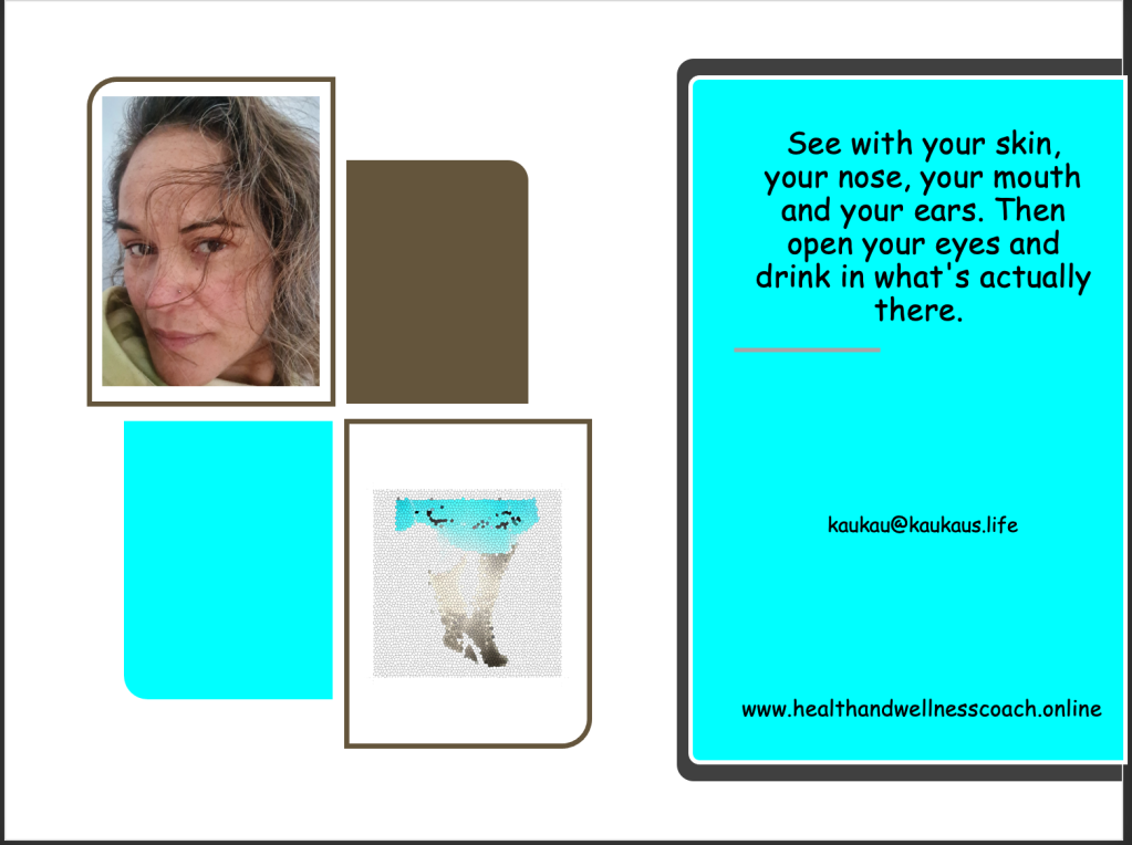 How to drink in what you see by being what you see Thus, see with your skin, your nose, your mouth and your ears. Then open your eyes and drink in what's actually there. 

Kaukau's Life
kaukau@kaukaus.Life
healthandwellnesscoach.online
+61481081084. 


